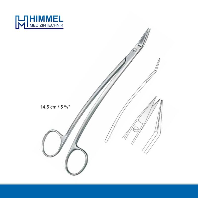 Dissecting scissors, gum scissors(Dean)