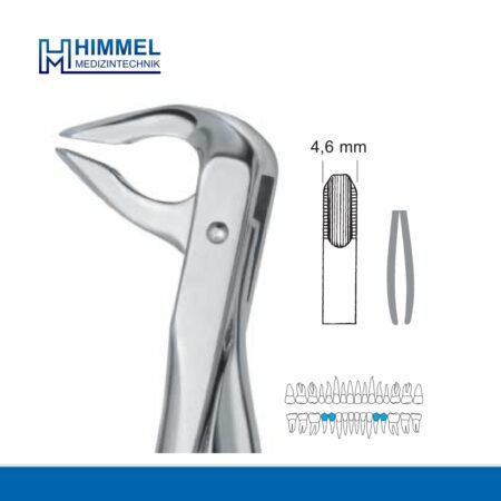 Extracting forceps, English pattern, lower jaw