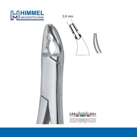 Extracting Forceps